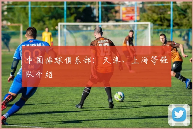 中国排球俱乐部:天津、上海等强队介绍