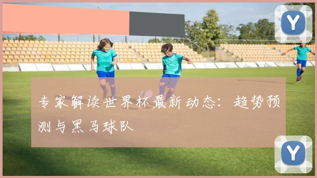 专家解读世界杯最新动态：趋势预测与黑马球队