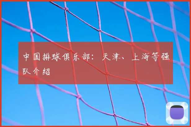 中国排球俱乐部:天津、上海等强队介绍
